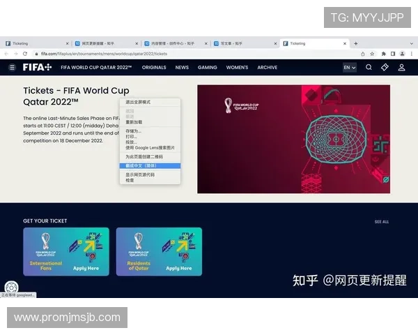 分析卡塔尔世界杯门票图片中的安全标识，教你识别官方正品门票的方法