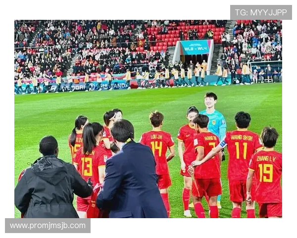 卡塔尔世界杯女足：裁判判罚争议与比赛公正性探讨与分析