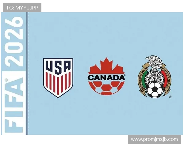 2026年世界杯晋级球队完整名单及晋级路径分析，助你全面了解各队晋级背后故事