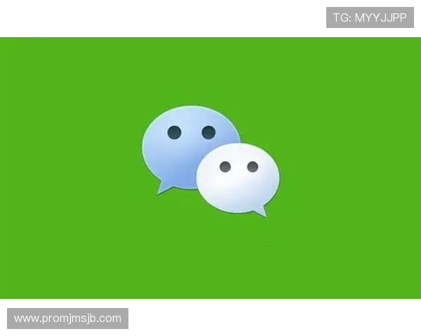 国际足联官方网站中文版本的安全性与隐私保护措施，保障用户信息安全