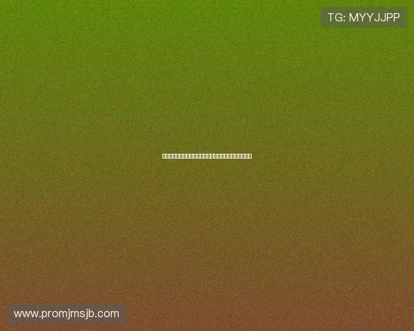 突尼斯荷兰在世界杯正式比赛中的战术分析与双方表现评估
